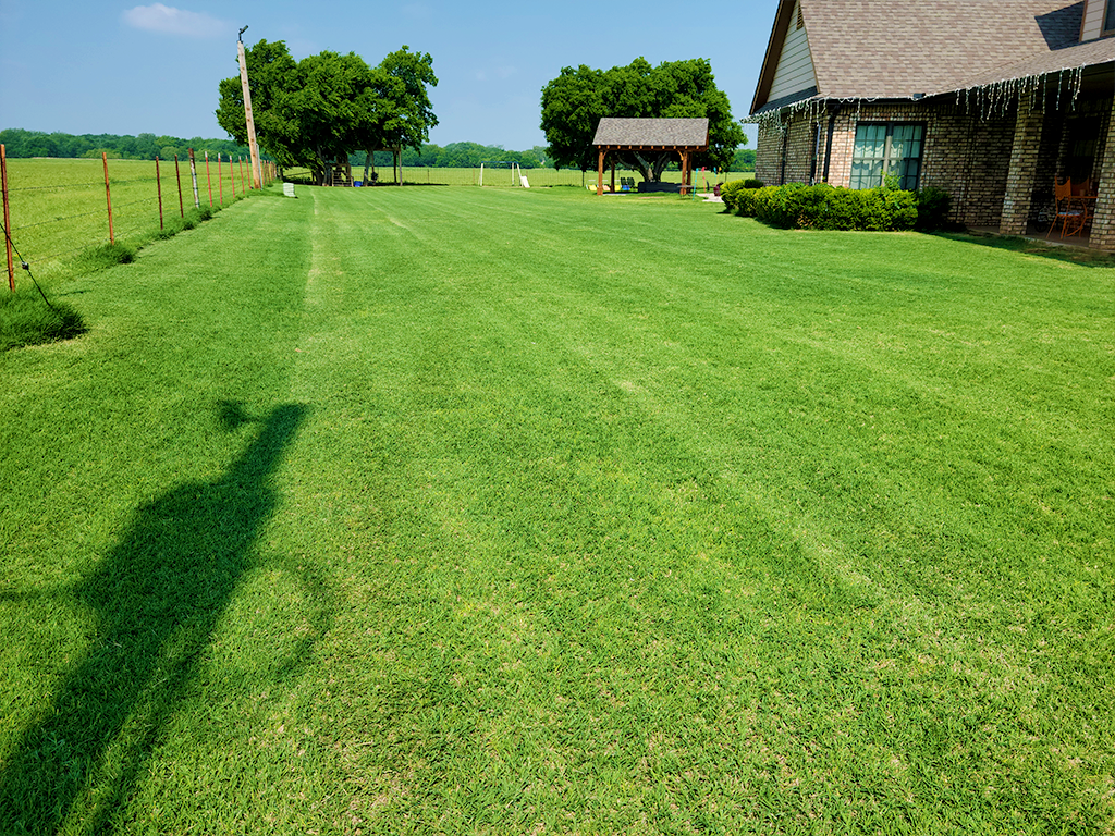 Lawns Like Greens Gallery Image 02