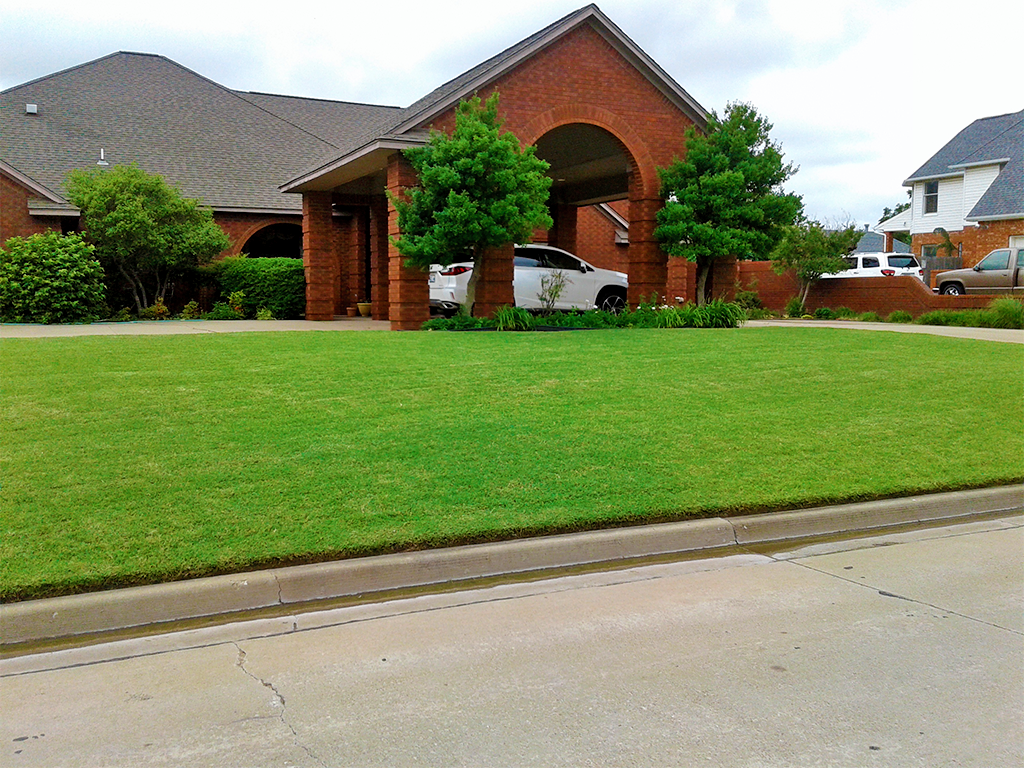 Lawns Like Greens Gallery Image 03