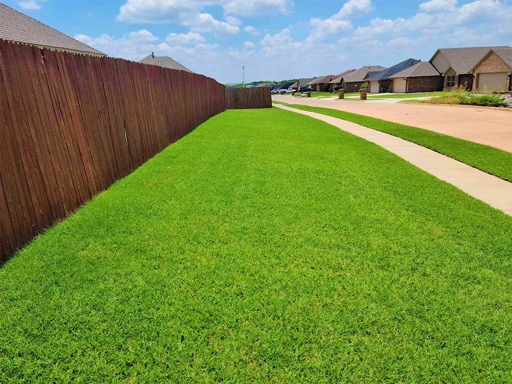 Lawns Like Greens Gallery Image 07