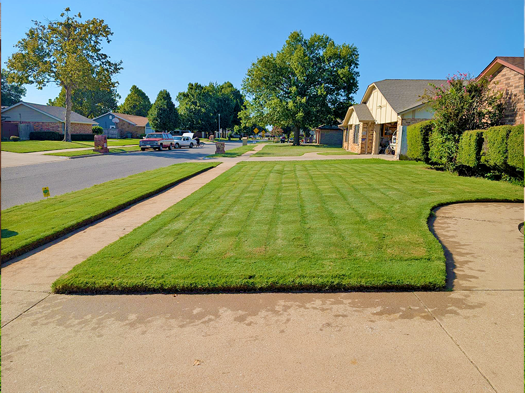 Lawns Like Greens Gallery Image 08